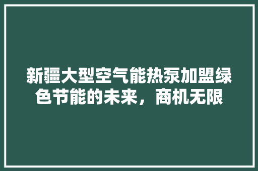 新疆大型空气能热泵加盟绿色节能的未来，商机无限
