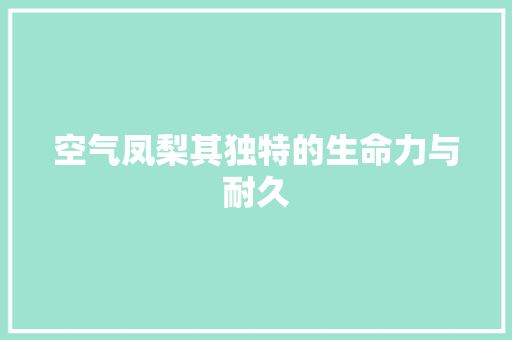 空气凤梨其独特的生命力与耐久