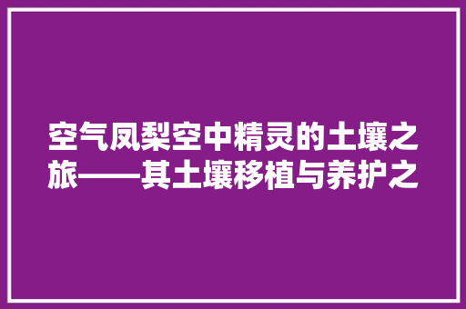 空气凤梨空中精灵的土壤之旅——其土壤移植与养护之路 家电维修