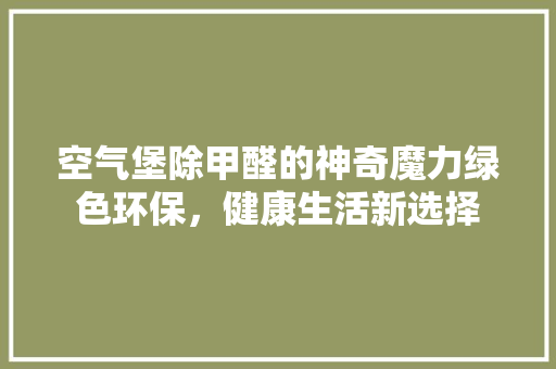 空气堡除甲醛的神奇魔力绿色环保，健康生活新选择
