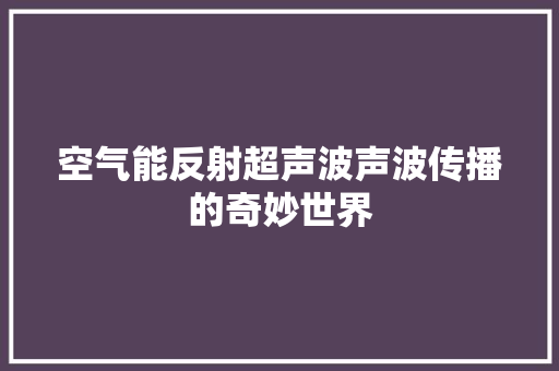 空气能反射超声波声波传播的奇妙世界