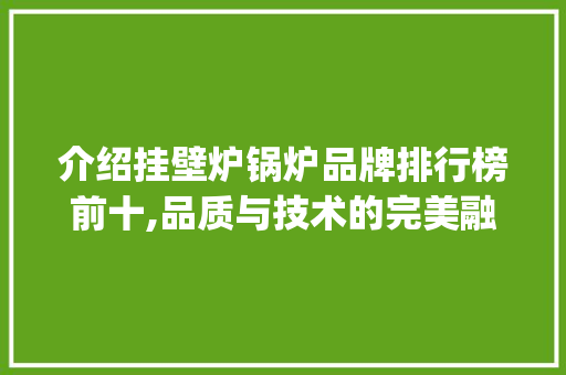 介绍挂壁炉锅炉品牌排行榜前十,品质与技术的完美融合_挂壁炉锅炉品牌排行榜前十 介绍挂壁炉锅炉品牌排行榜前十,品质与技术的完美融合_挂壁炉锅炉品牌排行榜前十 汽车维修