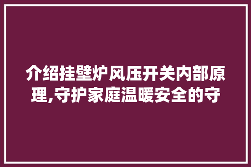 介绍挂壁炉风压开关内部原理,守护家庭温暖安全的守护神_挂壁炉风压开关内部原理 介绍挂壁炉风压开关内部原理,守护家庭温暖安全的守护神_挂壁炉风压开关内部原理 家电维修