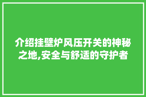 介绍挂壁炉风压开关的神秘之地,安全与舒适的守护者_挂壁炉风压开关在哪儿啊 介绍挂壁炉风压开关的神秘之地,安全与舒适的守护者_挂壁炉风压开关在哪儿啊 综合便民