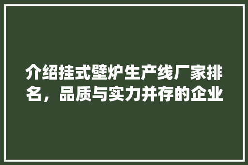 介绍挂式壁炉生产线厂家排名，品质与实力并存的企业脱颖而出_挂式壁炉生产线厂家排名 介绍挂式壁炉生产线厂家排名，品质与实力并存的企业脱颖而出_挂式壁炉生产线厂家排名 综合便民