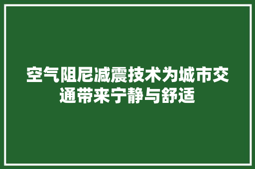 空气阻尼减震技术为城市交通带来宁静与舒适 汽车维修