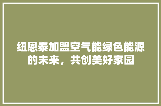 纽恩泰加盟空气能绿色能源的未来，共创美好家园