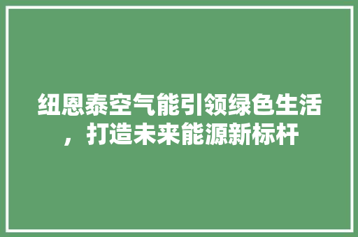纽恩泰空气能引领绿色生活，打造未来能源新标杆