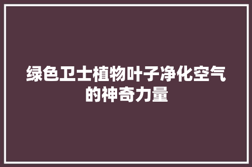 绿色卫士植物叶子净化空气的神奇力量