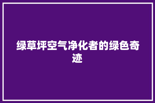绿草坪空气净化者的绿色奇迹 厨房维修