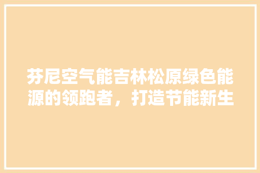 芬尼空气能吉林松原绿色能源的领跑者，打造节能新生活