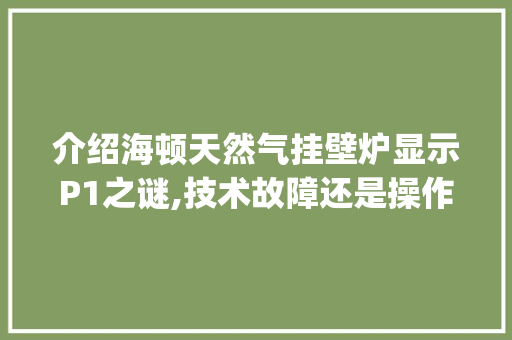 介绍海顿天然气挂壁炉显示P1之谜,技术故障还是操作失误_海顿天然气挂壁炉显示P1是什么意思 介绍海顿天然气挂壁炉显示P1之谜,技术故障还是操作失误_海顿天然气挂壁炉显示P1是什么意思 汽车维修