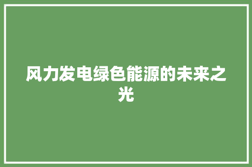 风力发电绿色能源的未来之光 综合便民