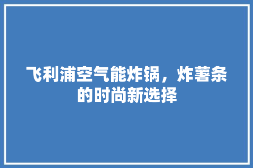 飞利浦空气能炸锅，炸薯条的时尚新选择 墙体维修