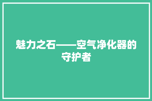 魅力之石——空气净化器的守护者 厨房维修