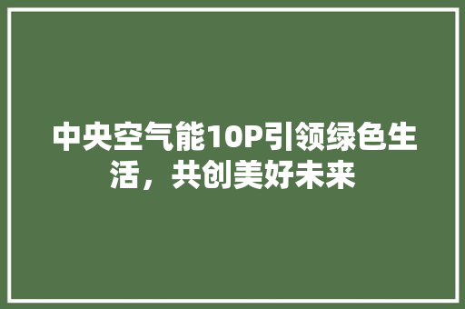 中央空气能10P引领绿色生活，共创美好未来 家电维修