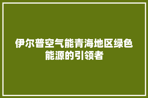 伊尔普空气能青海地区绿色能源的引领者