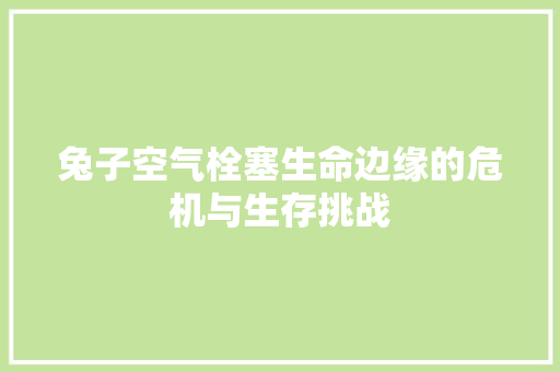 兔子空气栓塞生命边缘的危机与生存挑战