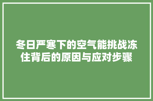 冬日严寒下的空气能挑战冻住背后的原因与应对步骤