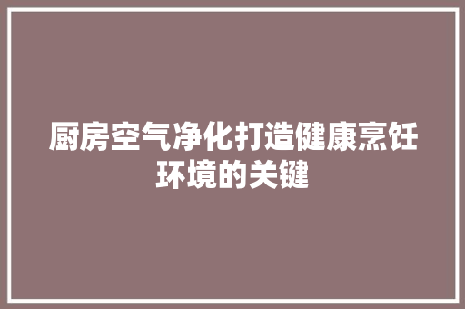 厨房空气净化打造健康烹饪环境的关键