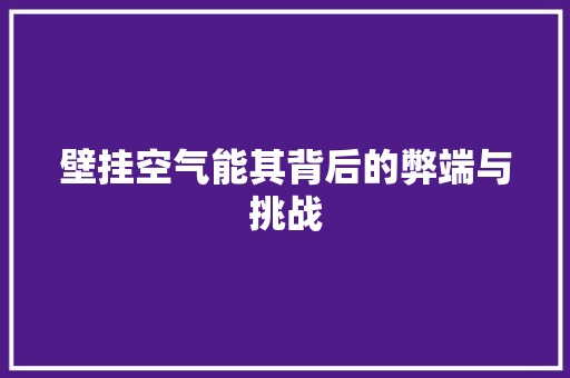 壁挂空气能其背后的弊端与挑战 厨房维修