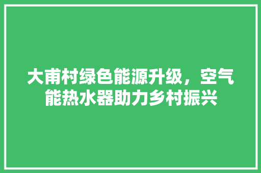 大甫村绿色能源升级，空气能热水器助力乡村振兴