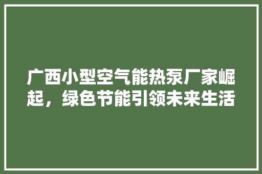 广西小型空气能热泵厂家崛起，绿色节能引领未来生活