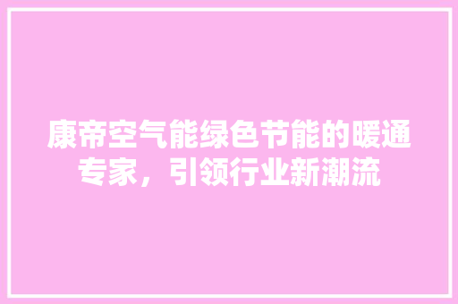 康帝空气能绿色节能的暖通专家，引领行业新潮流