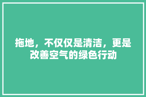拖地，不仅仅是清洁，更是改善空气的绿色行动 综合便民