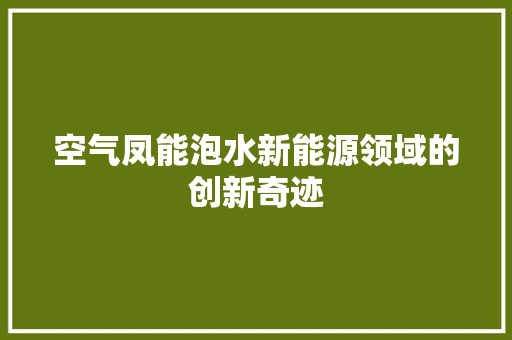空气凤能泡水新能源领域的创新奇迹