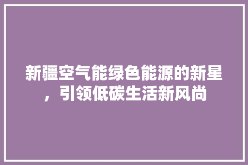 新疆空气能绿色能源的新星，引领低碳生活新风尚 厨房维修