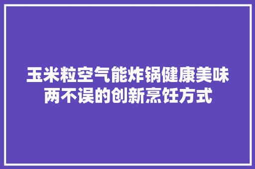 玉米粒空气能炸锅健康美味两不误的创新烹饪方式