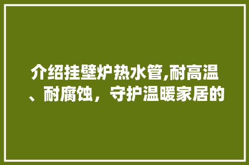 介绍挂壁炉热水管,耐高温、耐腐蚀，守护温暖家居的“隐形卫士”_挂壁炉的热水管是什么管子 介绍挂壁炉热水管,耐高温、耐腐蚀，守护温暖家居的“隐形卫士”_挂壁炉的热水管是什么管子 综合便民