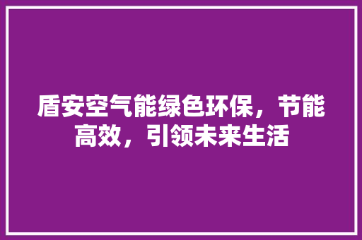 盾安空气能绿色环保，节能高效，引领未来生活