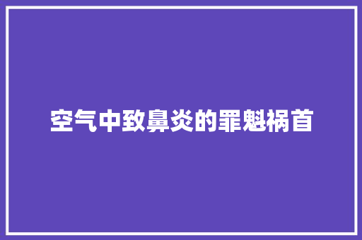 空气中致鼻炎的罪魁祸首 综合便民