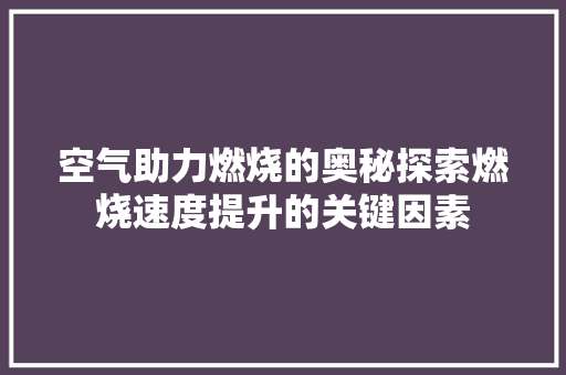 空气助力燃烧的奥秘探索燃烧速度提升的关键因素 墙体维修