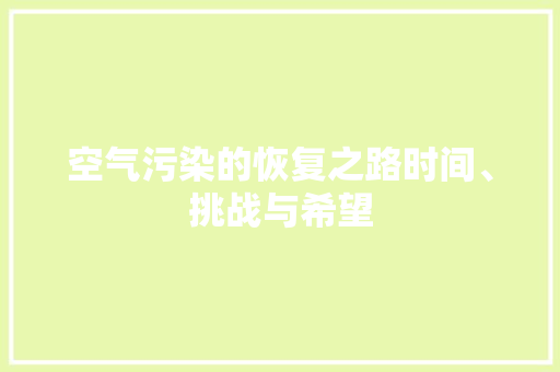 空气污染的恢复之路时间、挑战与希望