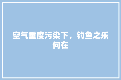 空气重度污染下，钓鱼之乐何在 厨房维修