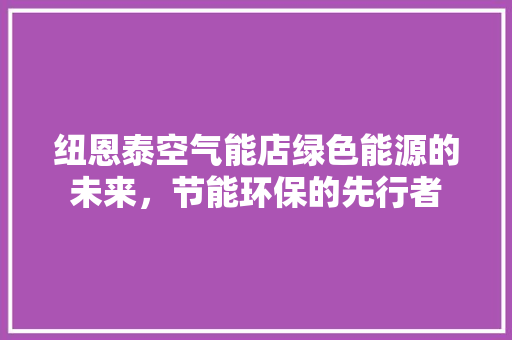 纽恩泰空气能店绿色能源的未来，节能环保的先行者