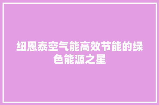 纽恩泰空气能高效节能的绿色能源之星