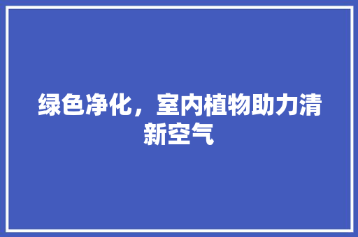 绿色净化，室内植物助力清新空气