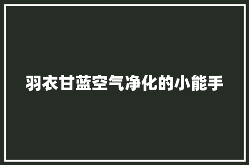 羽衣甘蓝空气净化的小能手 综合便民