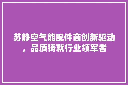 苏静空气能配件商创新驱动，品质铸就行业领军者