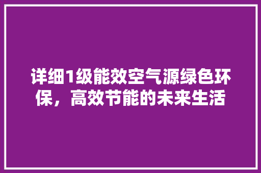 详细1级能效空气源绿色环保，高效节能的未来生活