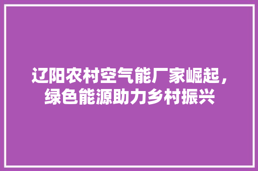 辽阳农村空气能厂家崛起，绿色能源助力乡村振兴 墙体维修