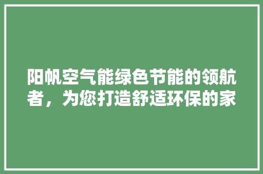 阳帆空气能绿色节能的领航者，为您打造舒适环保的家