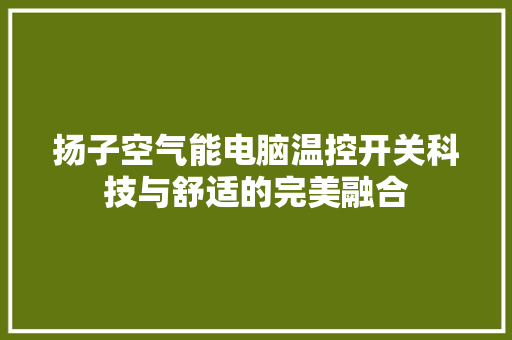 扬子空气能电脑温控开关科技与舒适的完美融合 综合便民