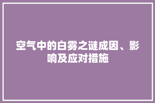 空气中的白雾之谜成因、影响及应对措施 家电维修