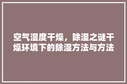 空气湿度干燥，除湿之谜干燥环境下的除湿方法与方法 墙体维修