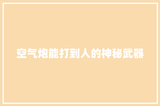 空气炮能打到人的神秘武器 墙体维修